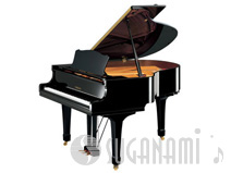 yamahaC1TD