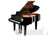 yamahaC2X