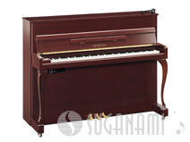 b113DMC-SG2