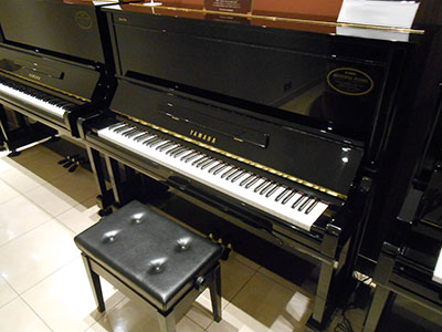 u300s_5384130