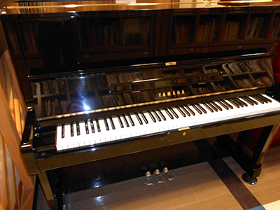 U1H_2599133