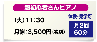 超初心者さんピアノは60分月2回で月謝3,500円