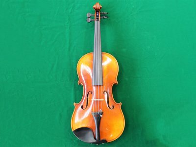 バイオリン | スガナミ楽器