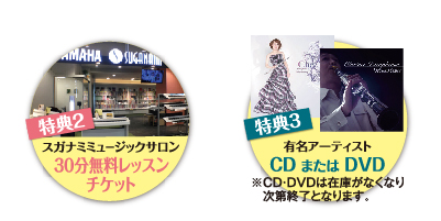 スガナミミュージックサロン30分無料レッスンチケット、有名アーティストCDまたはDVD　在庫がなくなり次第終了