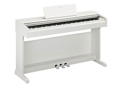 電子ピアノ・キーボード   スガナミ楽器